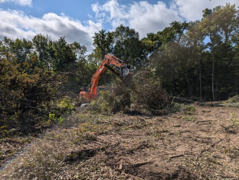 forestry removal equipment removing trees from property