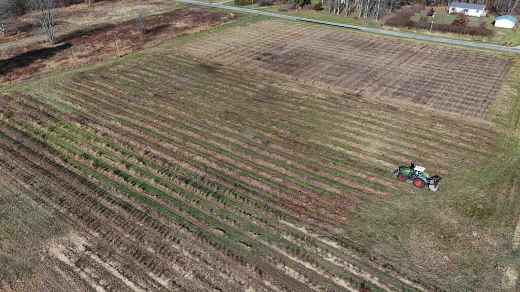 professional land management