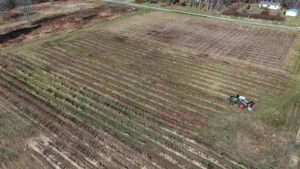professional land management