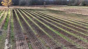 buy land