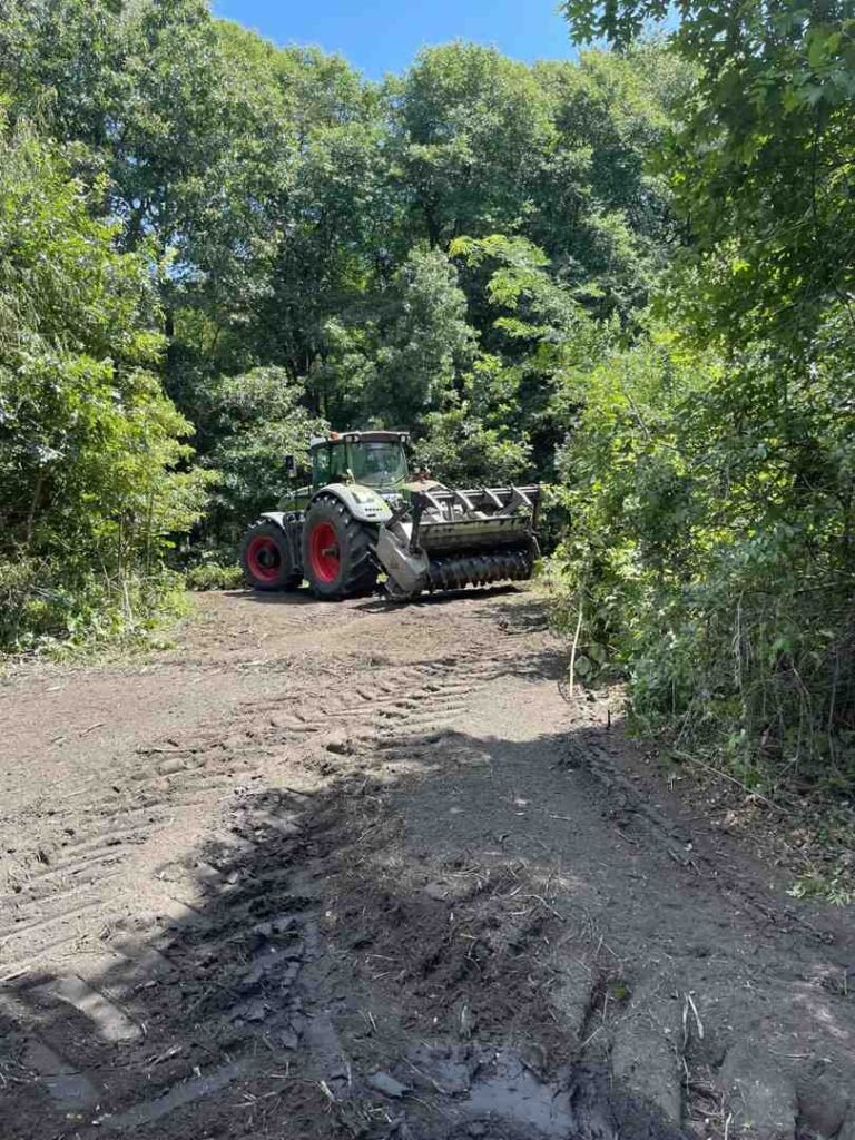 vegetation management solutions