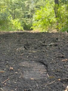 trail building and maintenance