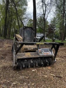 land clearing trends
