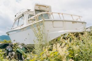 fixing overgrown land