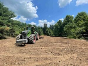 forest understory treatment