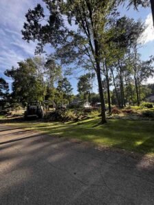 storm cleanup services