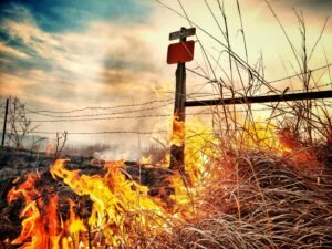 fire mitigation efforts - fire mitigation