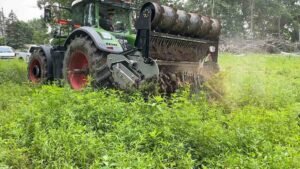 land clearing for agriculture