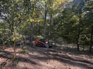 land clearing services in Elkhart Indiana professional equipment wooded area - land clearing services in Elkhart