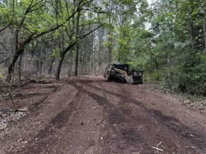 tree brush removal in Elkhart
