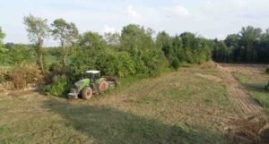 fence line clearing